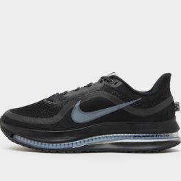 Nike Pegasus Premium